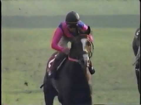 2000 オールカマー メイショウドトウ