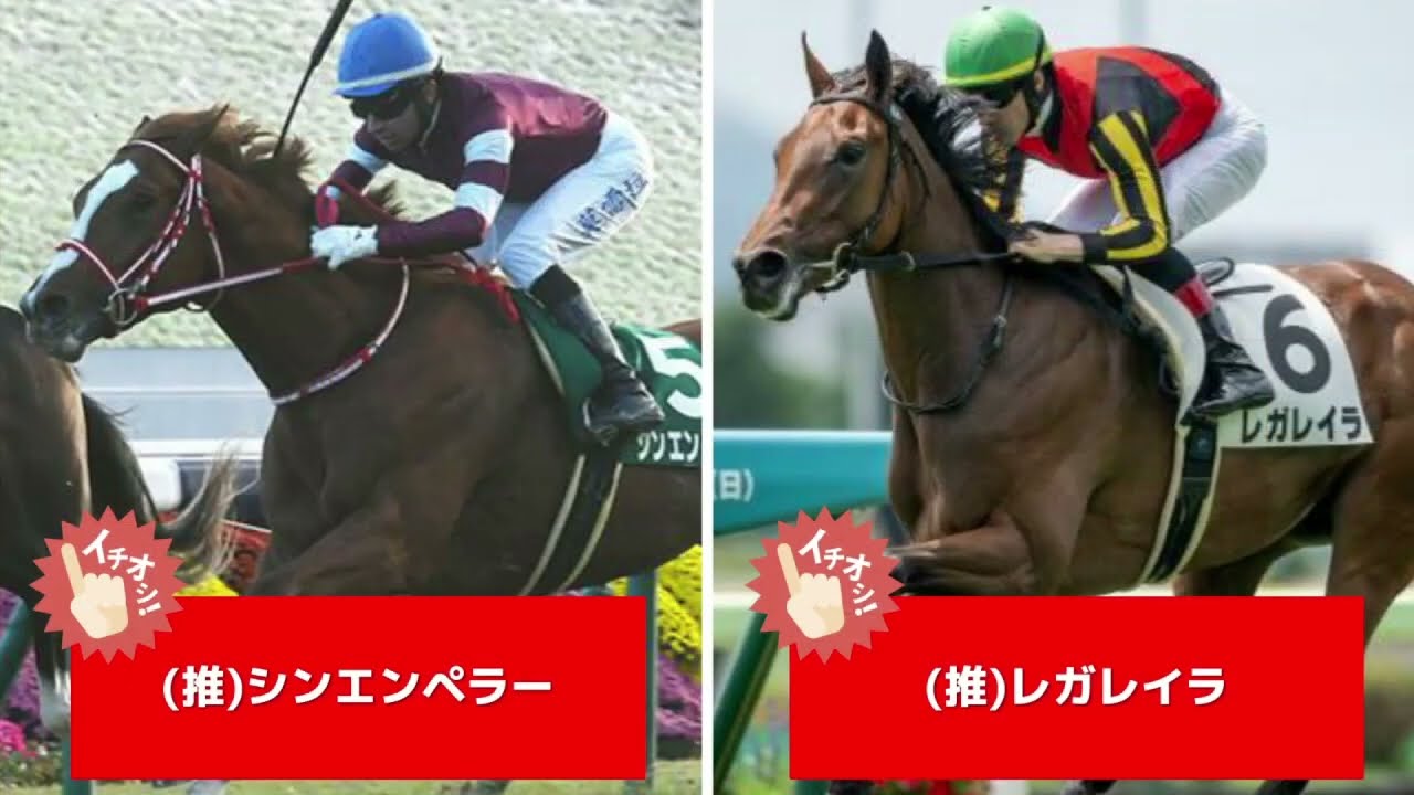 【ホープフルステークス2023】追い切り全頭診断！シンエンペラー、ゴンバデカーブースなどの状態はどうか？調教S評価は2頭！