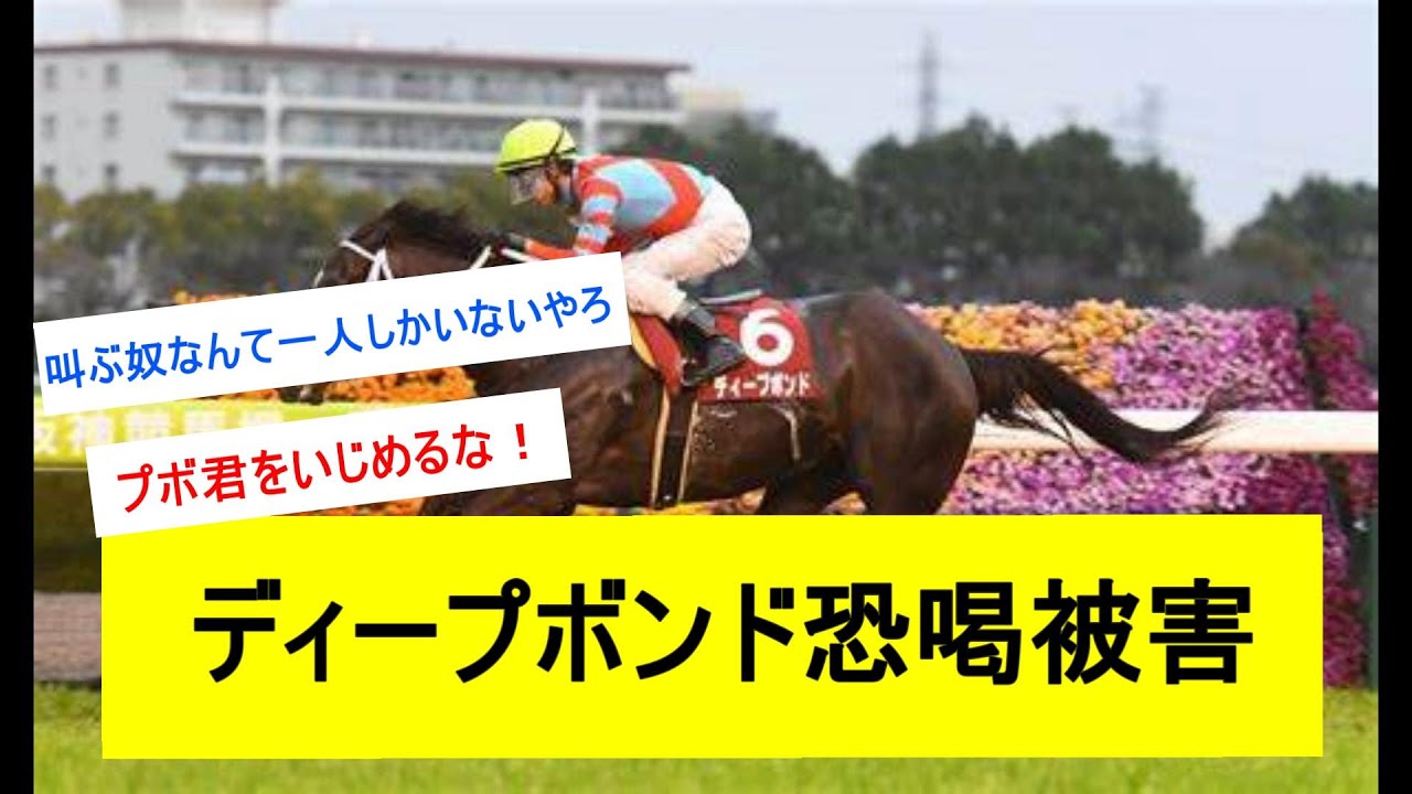 【悲報】ディープボンド、またしても恫喝されるwwwwwに対するみんなの反応【有馬記念】