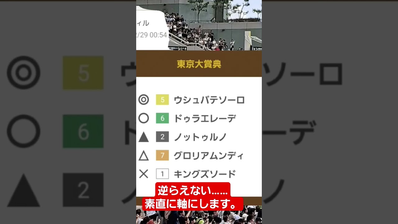東京大賞典、2023年上位5頭予想！
