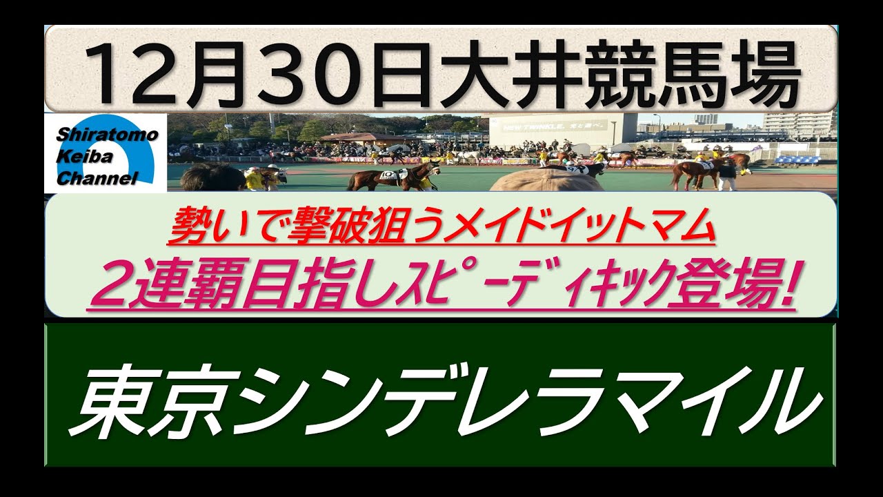 【競馬予想】SⅢ東京シンデレラマイル～２０２３年１２月３０日 大井競馬場 ：１２－３７