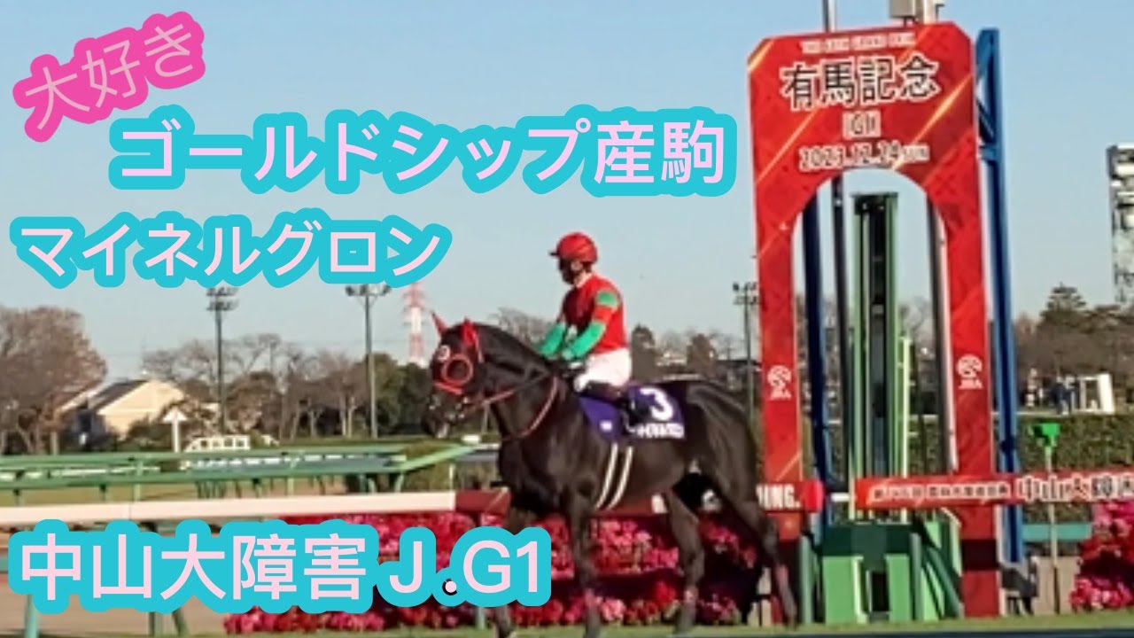 ゴールドシップ産駒　マイネルグロン　本馬場入場　中山大障害2023