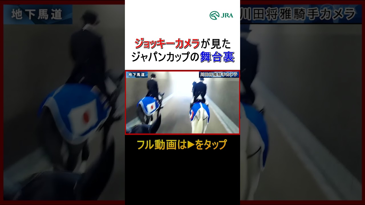 ジョッキーカメラは見た！「ジャパンカップの舞台裏」#ジャパンカップ #競馬 #shorts | JRA公式