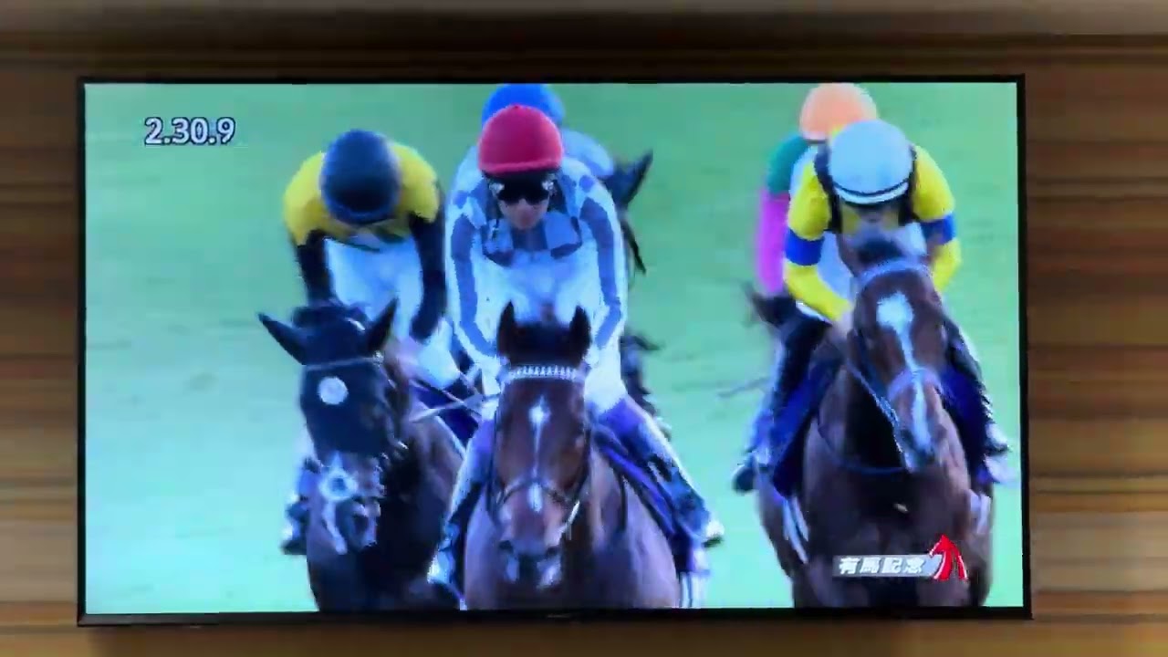 ［中山競馬場内モニター観戦］2023.12.24（日）中山11R第68回有馬記念（G1）