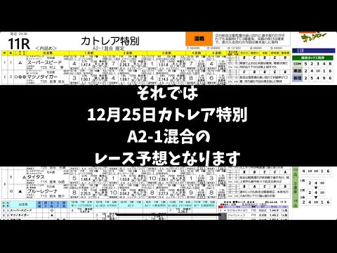 12月25日カトレア特別の簡単予想　時間なくてこんな動画ですみません