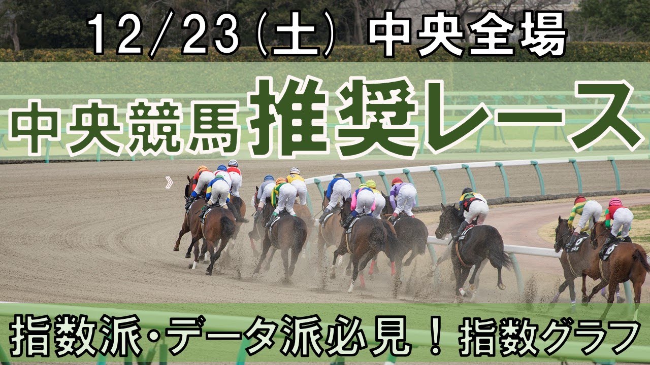 12/23(土) 中央競馬全場から推奨レースを紹介【中央競馬 指数グラフ・予想・攻略】中山競馬、阪神競馬