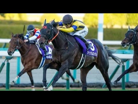 第75回　朝日杯フューチュリティステークス （ＧⅠ）　ジャンタルマンタル　牡２　56　川田将雅　2023.12.17　　出走馬：エコロヴァルツ、タガノエルピーダ、ジューンテイク、タガノデュード他