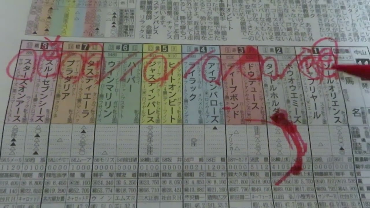 有馬記念　反省競馬ダイジェスト