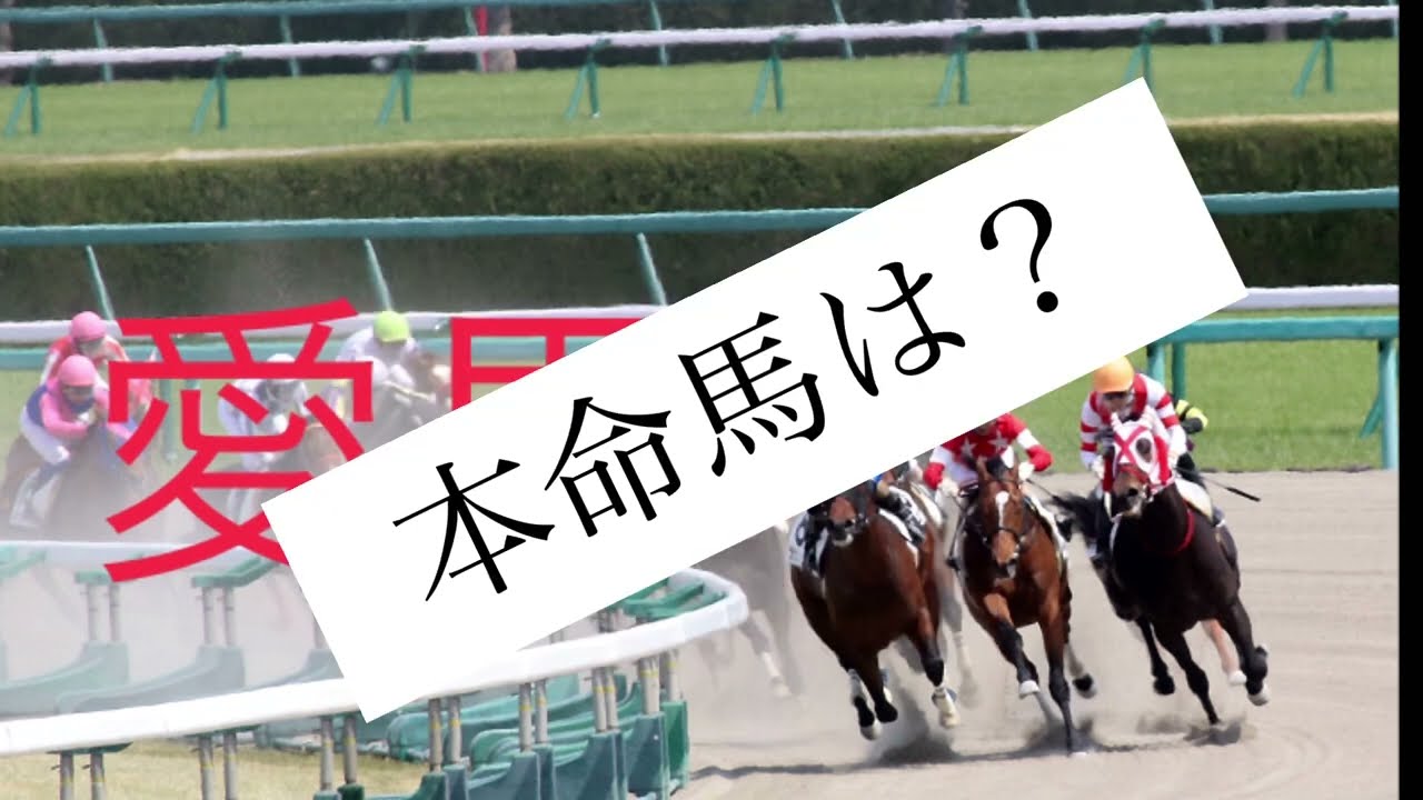 12/23  中央競馬障害G1中山大障害予想