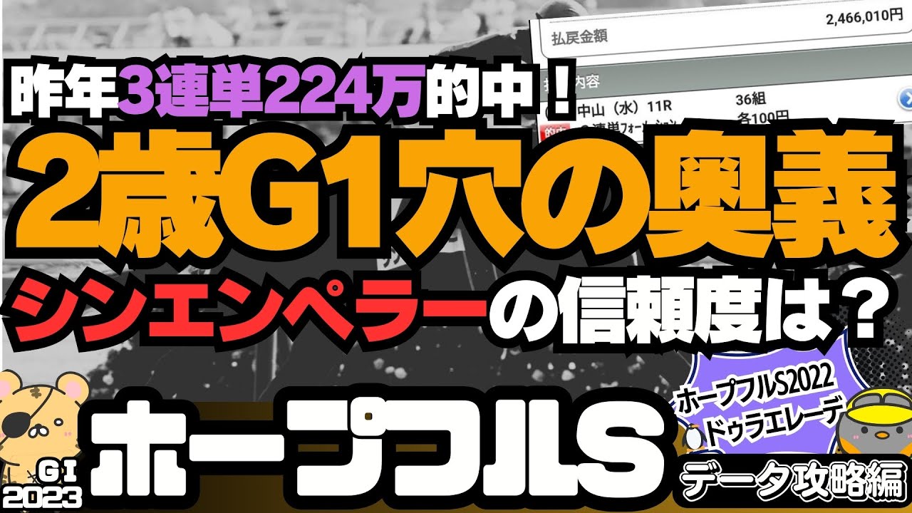 【ホープフルS攻略】今年も強さがバレてない穴馬はいる？ 中山芝2000ｍの2歳戦で大事な知識とシンエンペラーの信頼度は？【競馬予想2023】