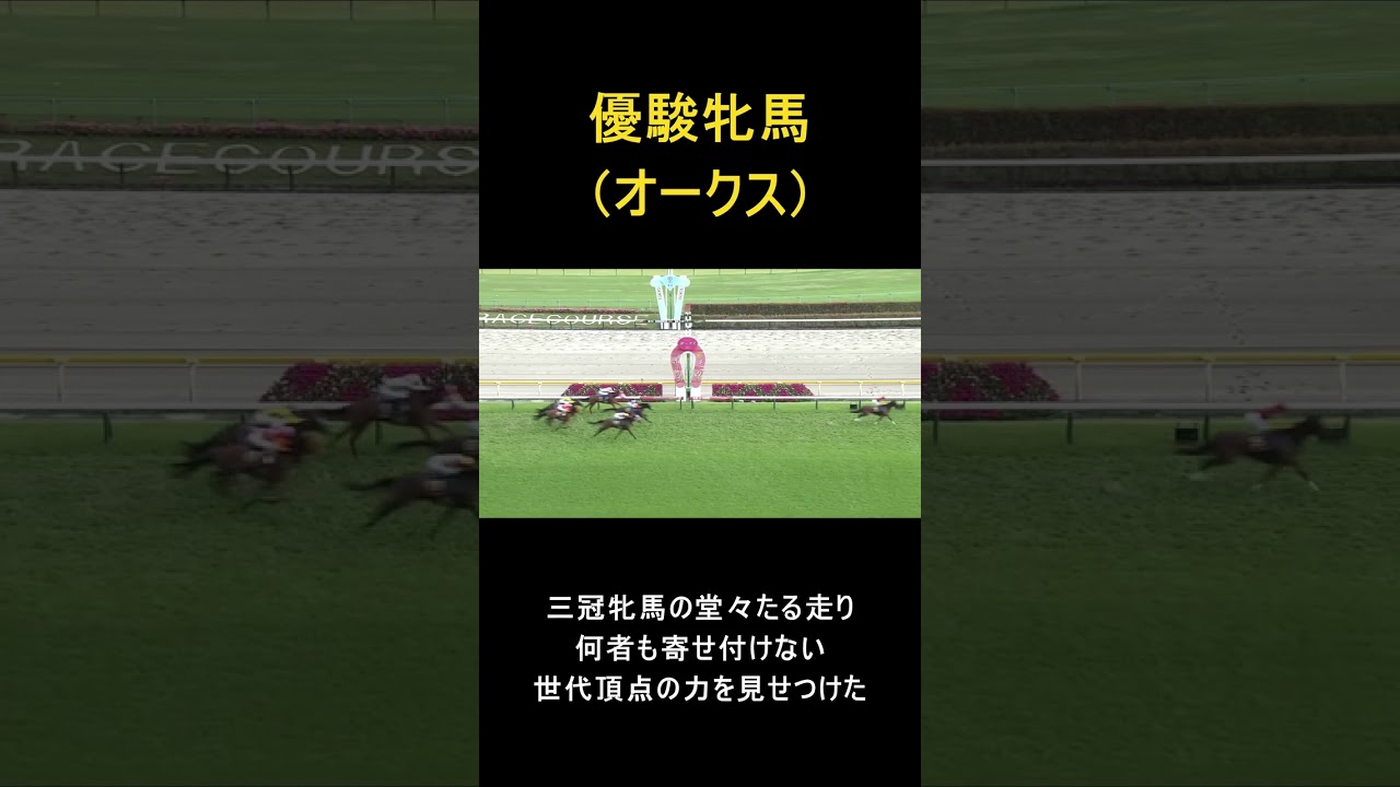 俺的JRA神レースランキング　2023　＃JRA　＃競馬　＃イクイノックス　#ドウデュース 　＃ヴィクトリアマイル #オークス2023 　＃天皇賞秋　＃ジャパンカップ2023　＃有馬記念2023