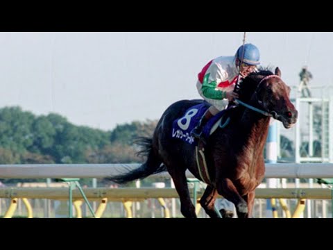 第13回　ジャパンカップ （ＧⅠ）　レガシーワールド　セン４　57　河内洋　1993.11.28　　出走馬：コタシャーン、ウイニングチケット、スターオブコジーン、ミシル、ナイスネイチャ、アーバンシー他