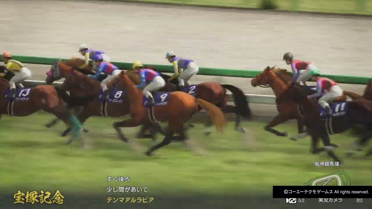 GI宝塚記念 マルセイチフラダ