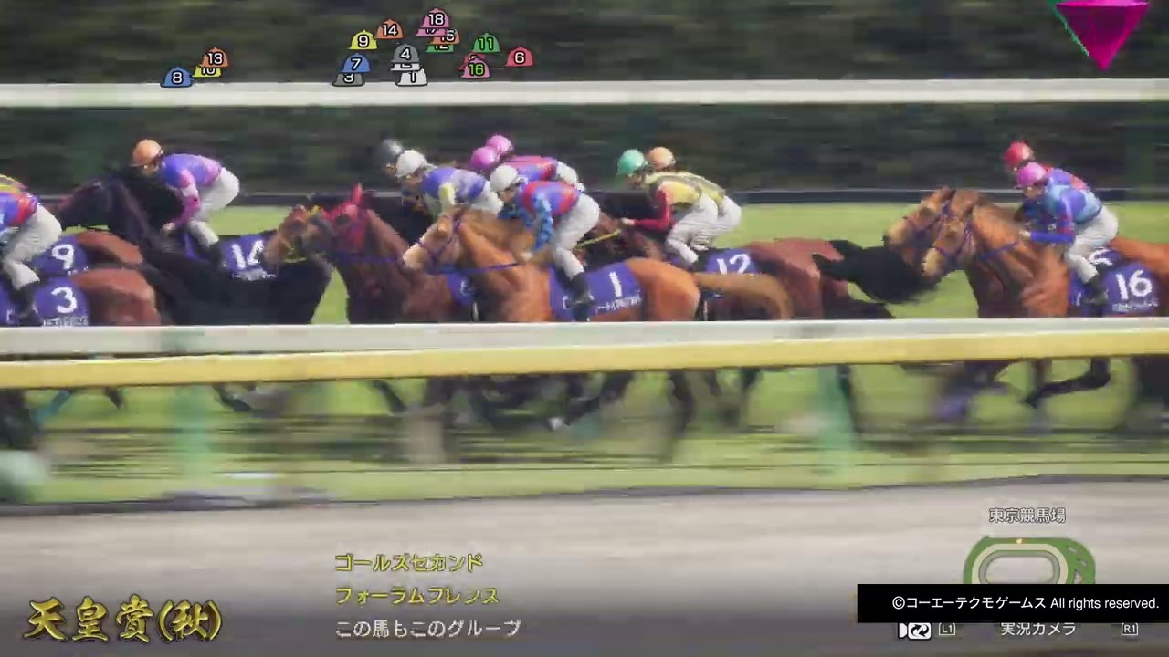 GI天皇賞・秋 マルセイシーバード