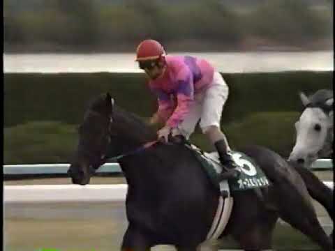 1999 平安S オースミジェット