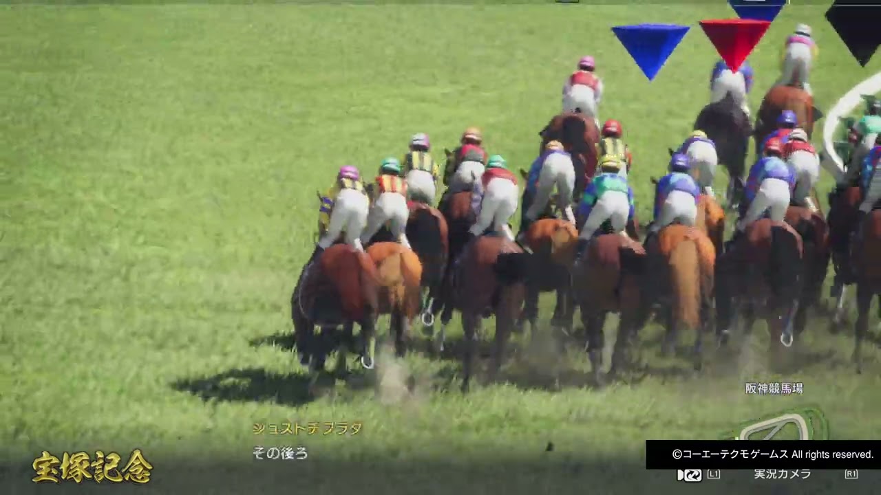 GI宝塚記念 ティミーカトレア