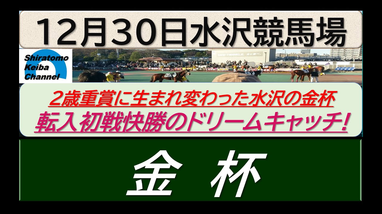 【競馬予想】重賞・金杯～２０２３年１２月３０日 水沢競馬場 ：１２－３９