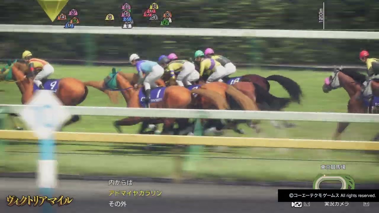 GIヴィクトリアマイル ティミーカトレア