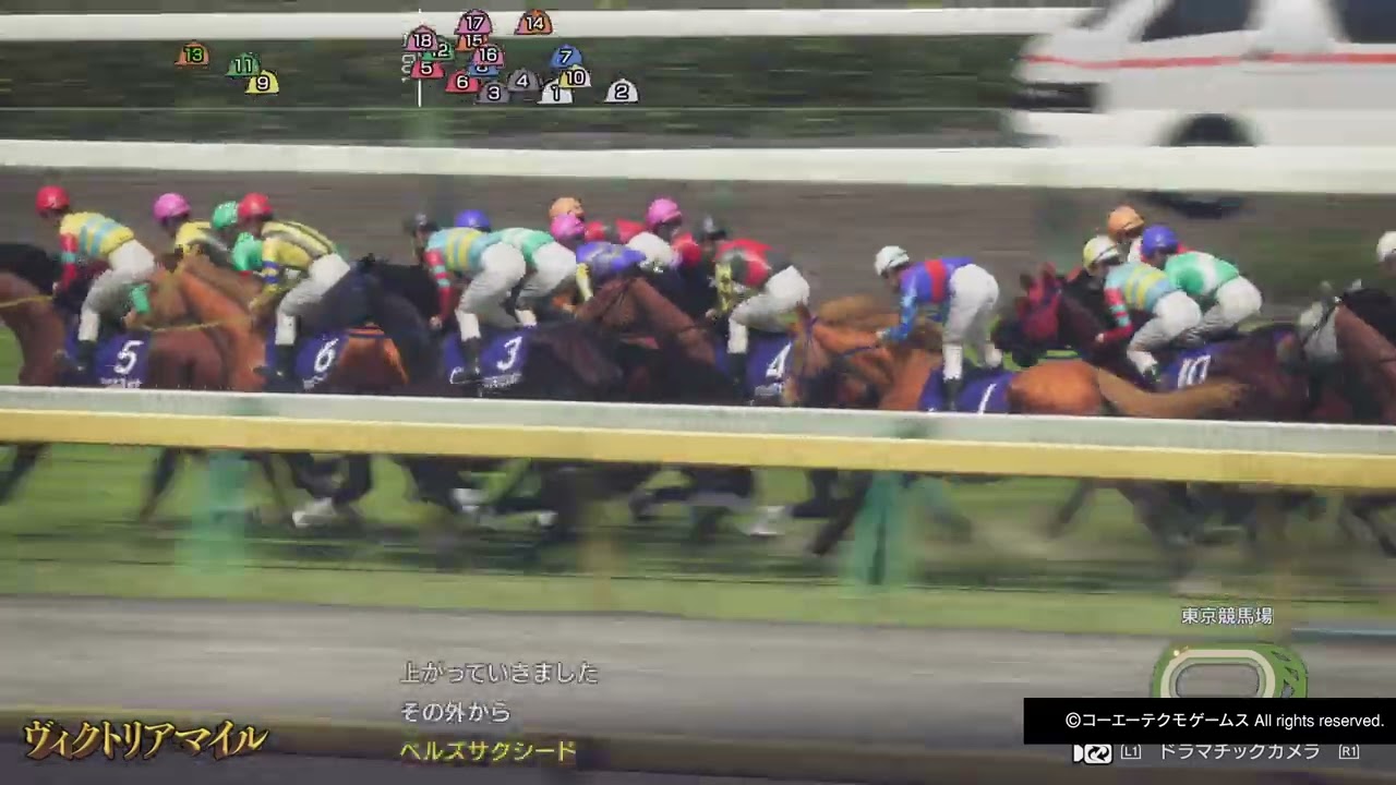 GIヴィクトリアマイル テューダーカトレア