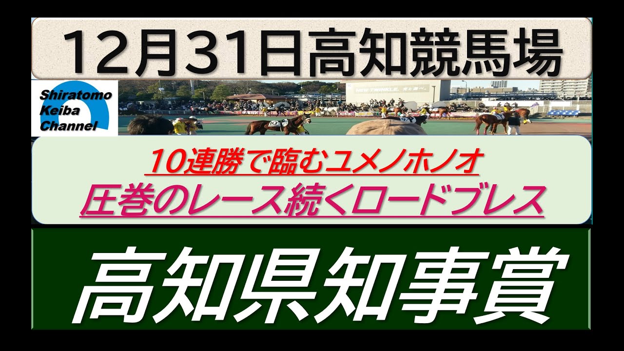 【競馬予想】重賞・高知県知事賞～２０２３年１２月３１日 高知競馬場 ：１２－４２