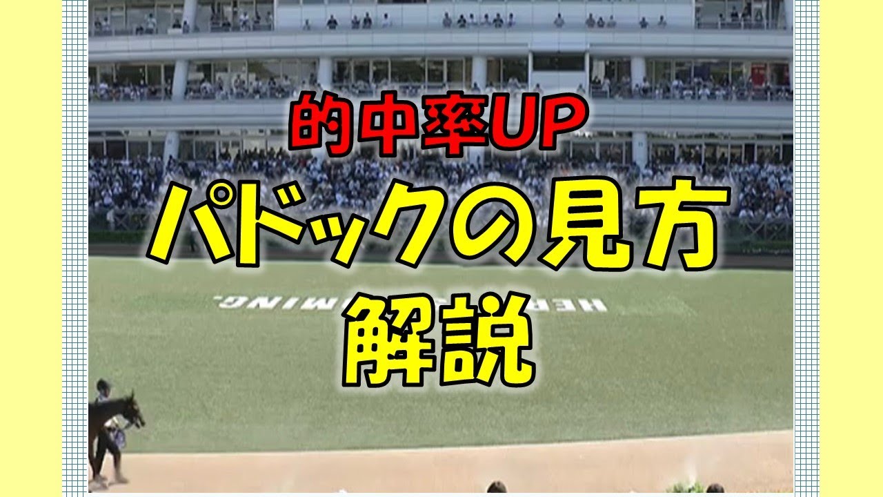 【競馬解説】パドックの見方解説
