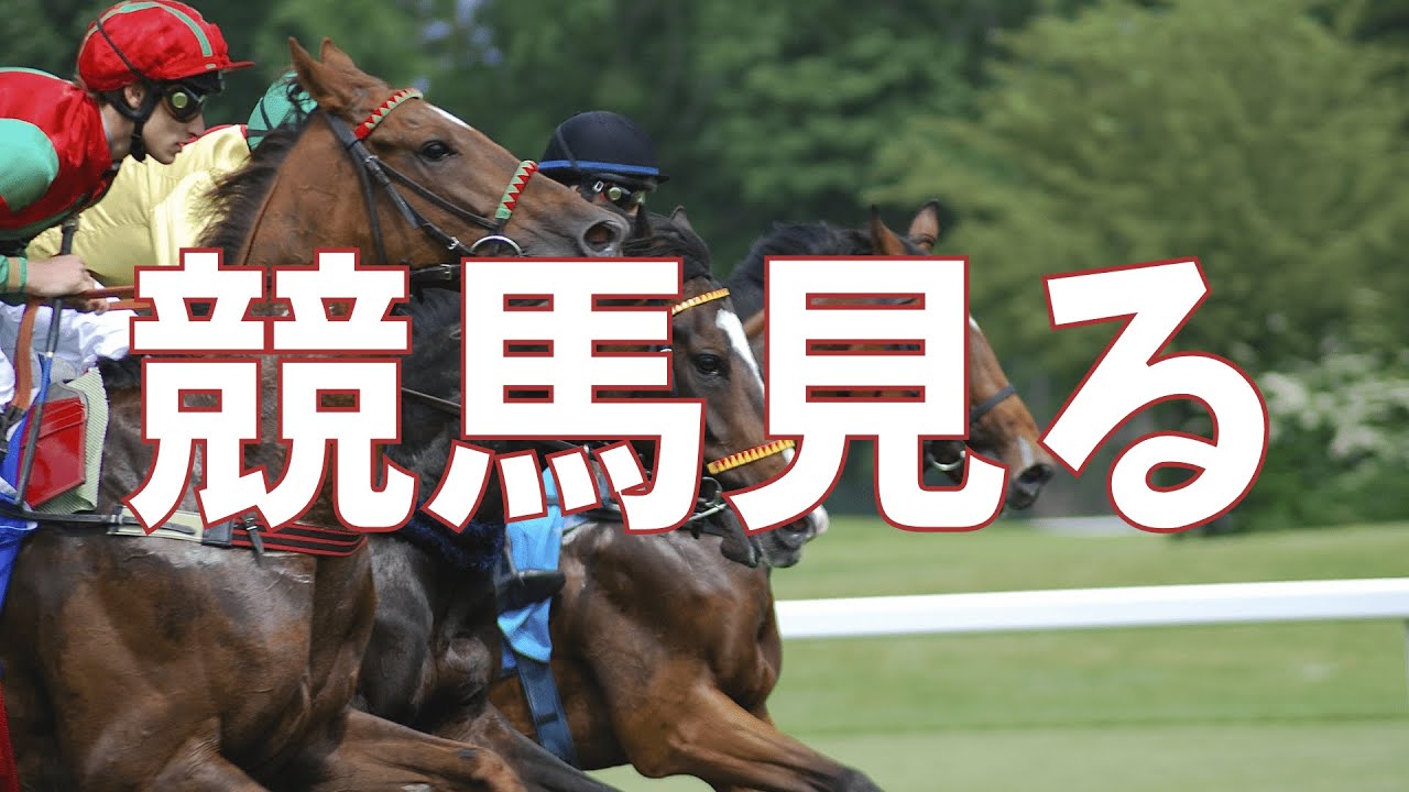 有馬記念をみんなと見る枠