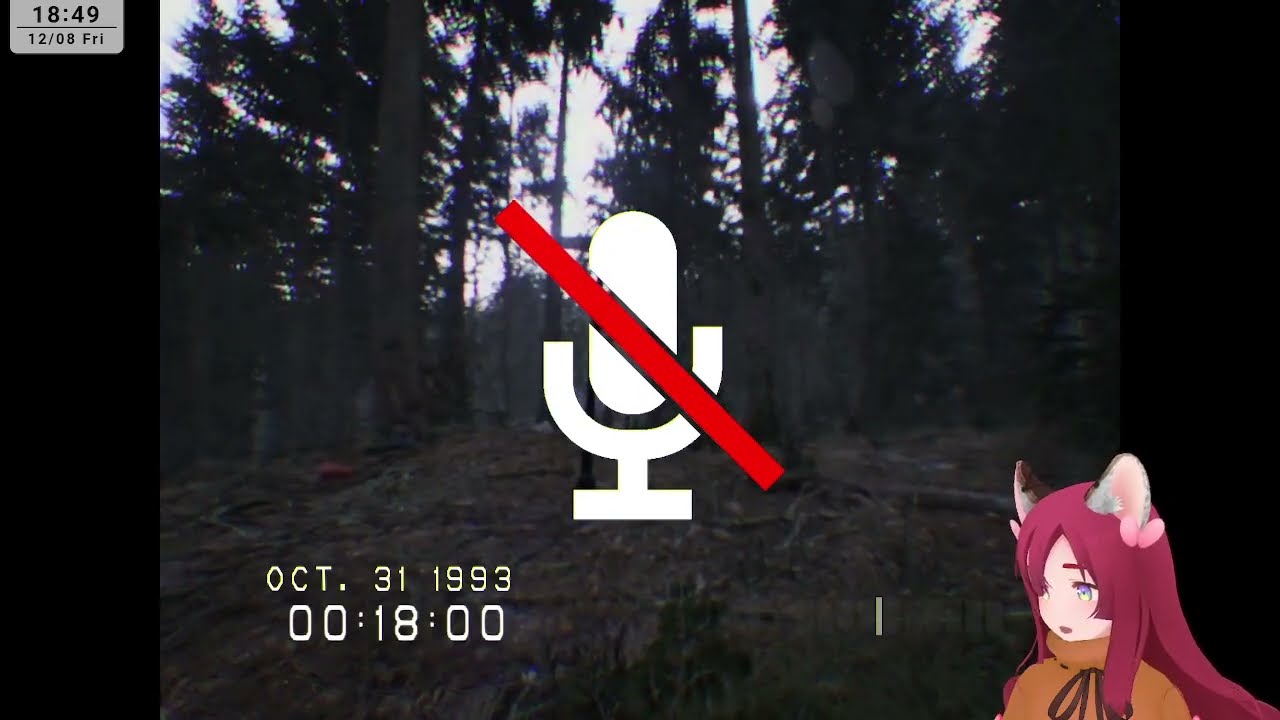 【DON'T SCREAM】20時までホラゲやる