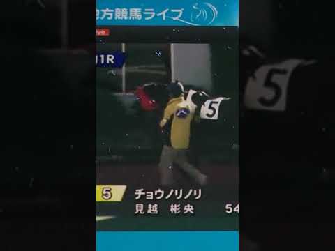 ノリノリなんだね…