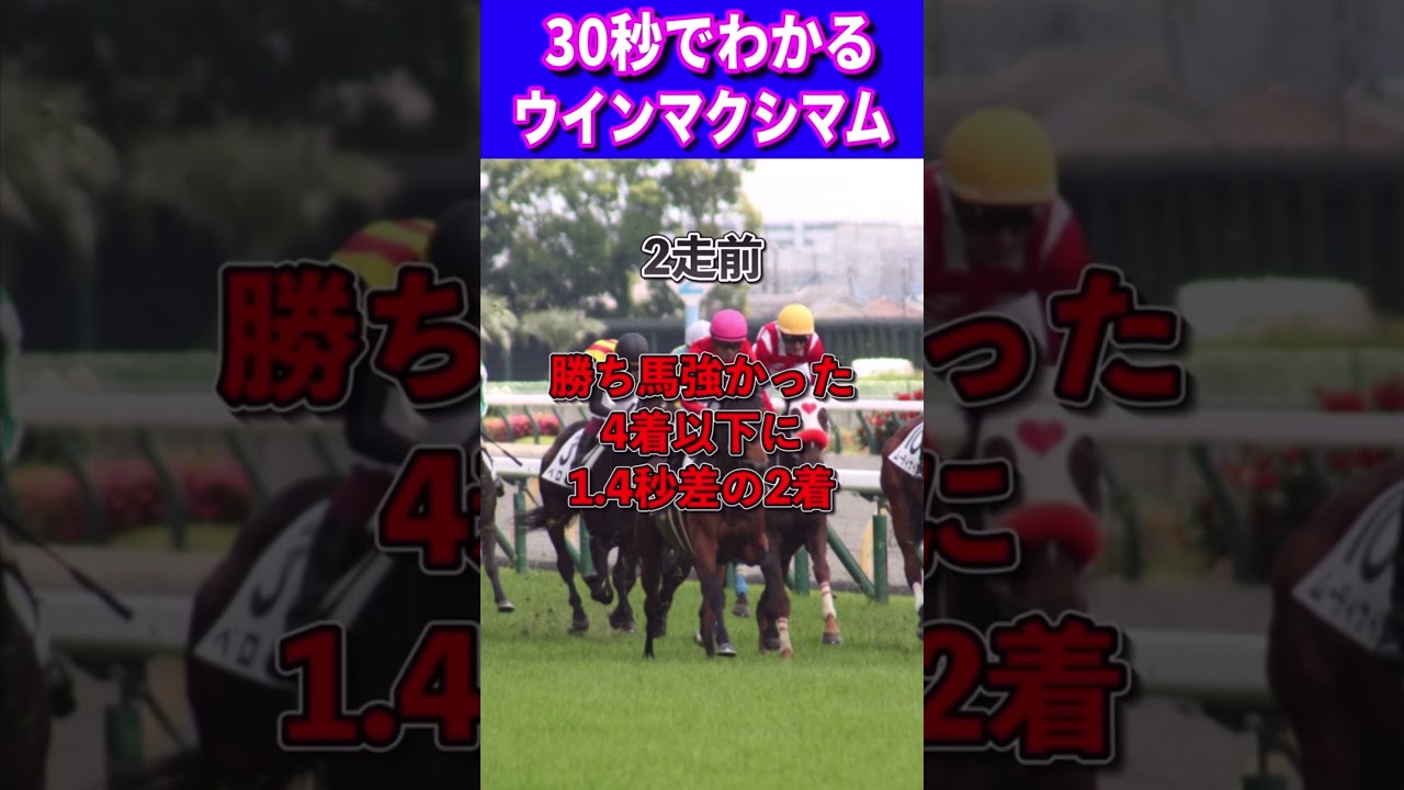 【ホープフルスS2023】30秒でわかるウインマクシマム