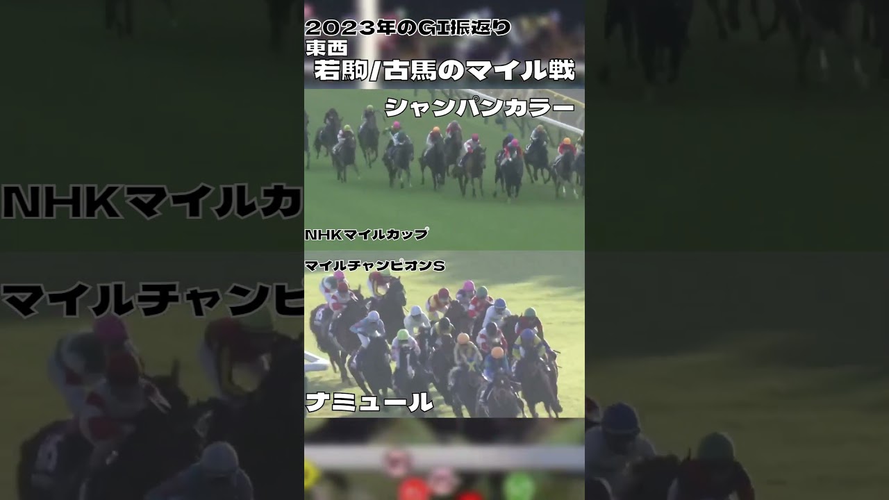 2023振返り 東西マイル戦 シャンパンカラー ナミュール#shorts