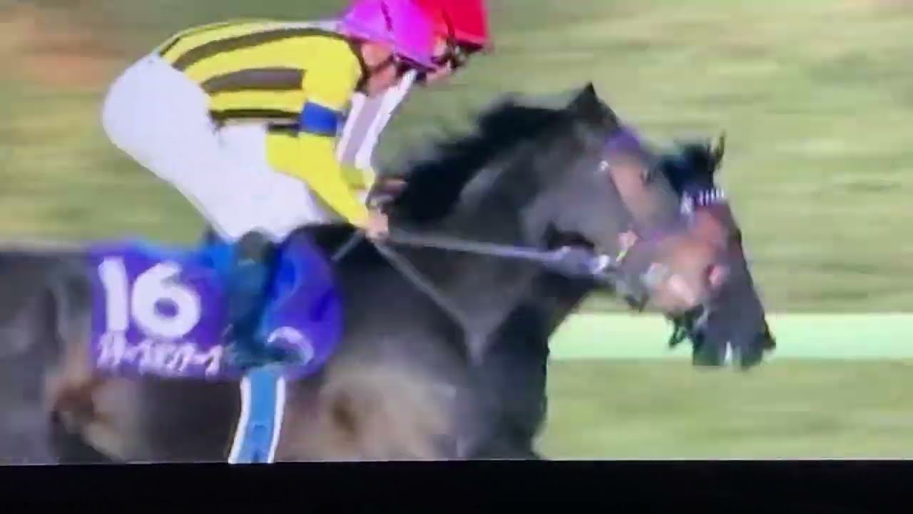 2023年　有馬記念　ドウデュース　武豊　ラジオ日本実況中継　レース映像　武豊有馬記念4勝目　#武豊　#有馬記念　#有馬記念ドウデュース #レース映像#レースビデオ#武豊有馬記念#有馬記念ドウデュース