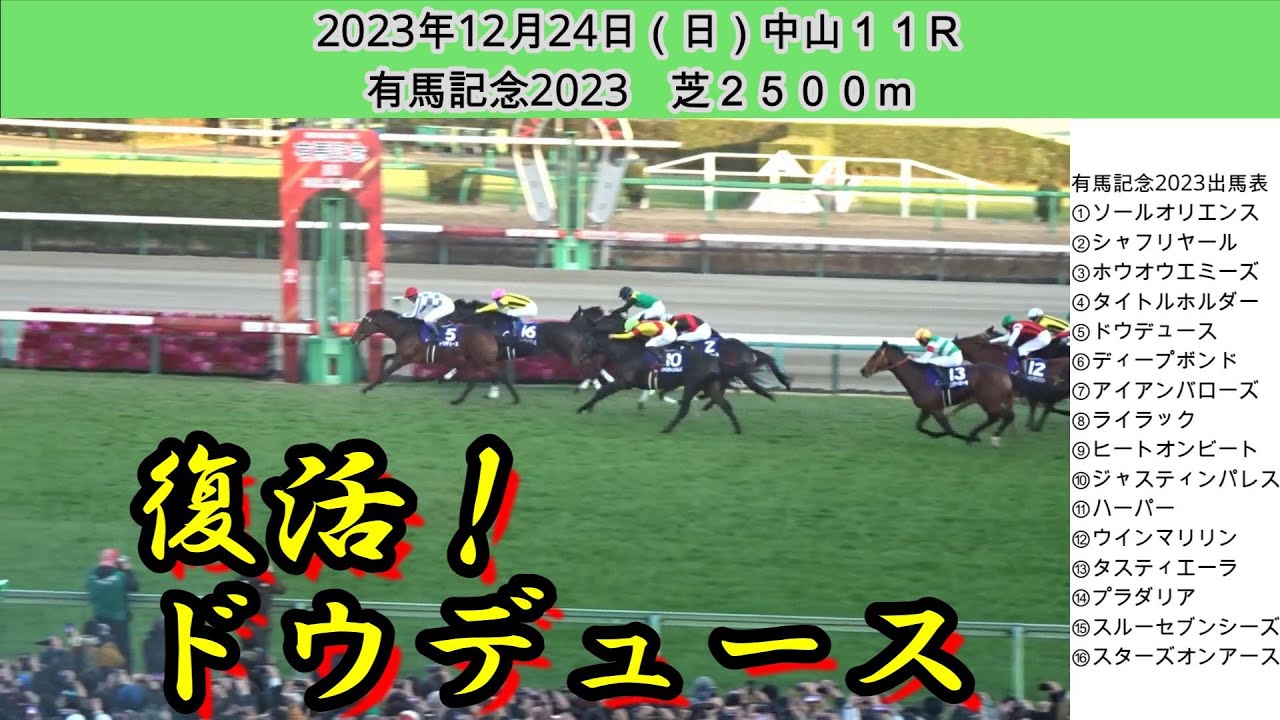 有馬記念2023現地レース映像！1番人気ジャスティンパレスや克服なるか大外8枠16番スターズオンアースにダービー馬の意地を見せるか3枠5番ドウデュースなど好メンバー揃った！