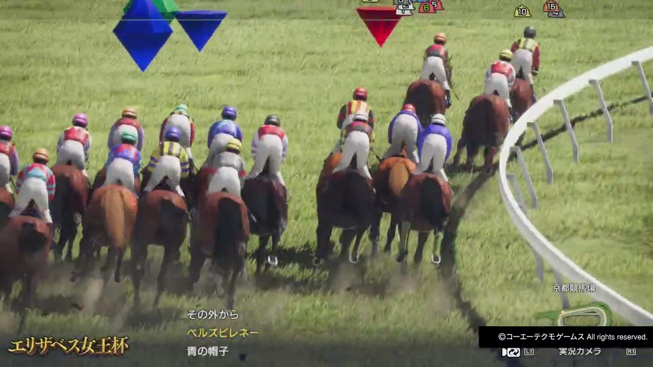 GIエリザベス女王杯 ナイトカトレア