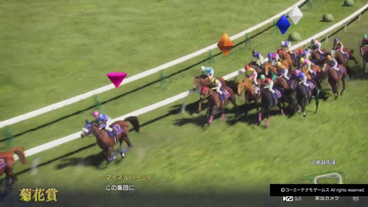 GI菊花賞 マルセイメンバー