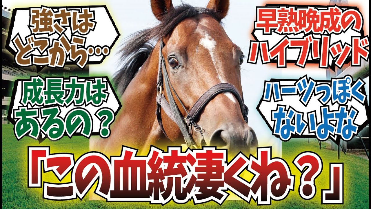 「ドウデュースの血統見て思ったんだけど」に対するみんなの反応集