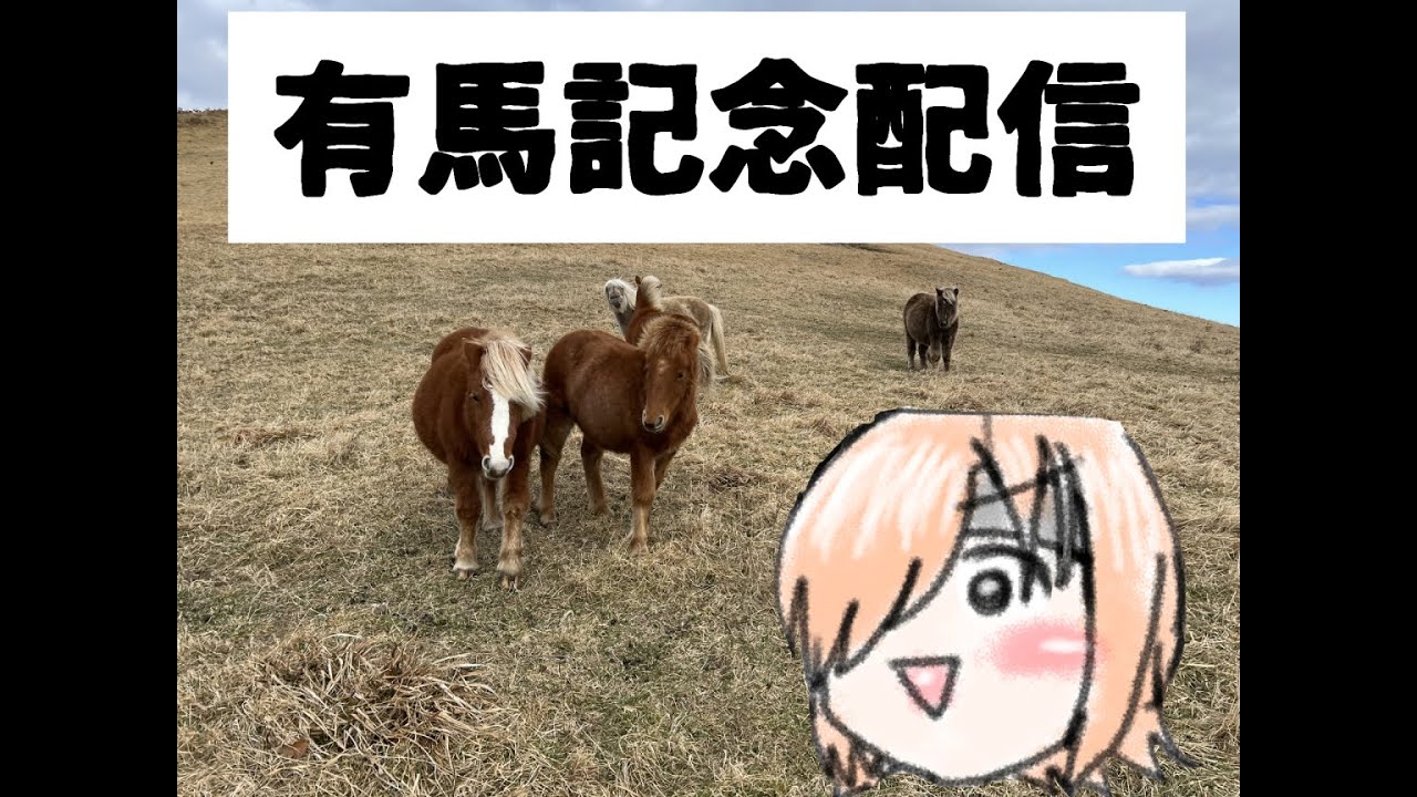 【有馬記念】年に一度の馬が有る日！！！！【配信】