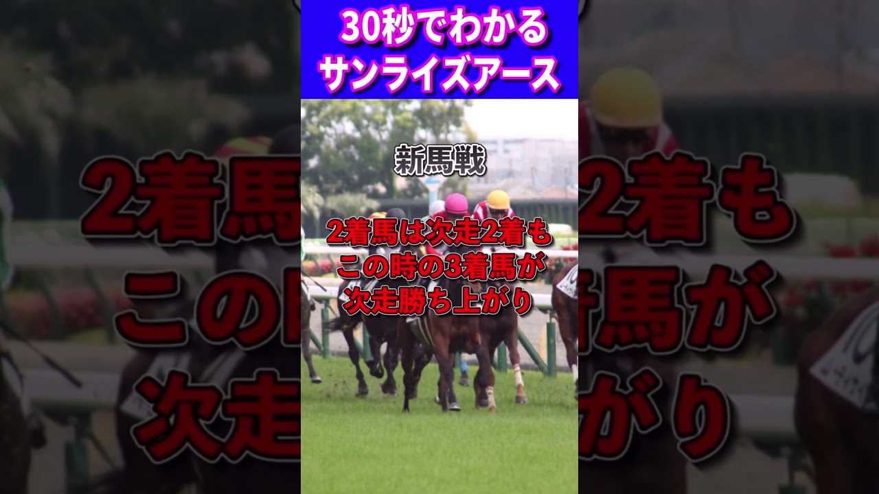 【ホープフルS2023】30秒でわかるサンライズアース