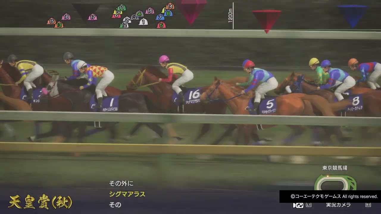 GI天皇賞・秋 ティミーカトレア