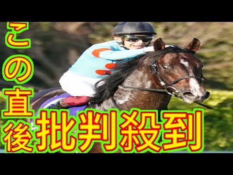 21年スプリンターズS覇者ピクシーナイト、引退…ブリーダーズSSで種牡馬入り