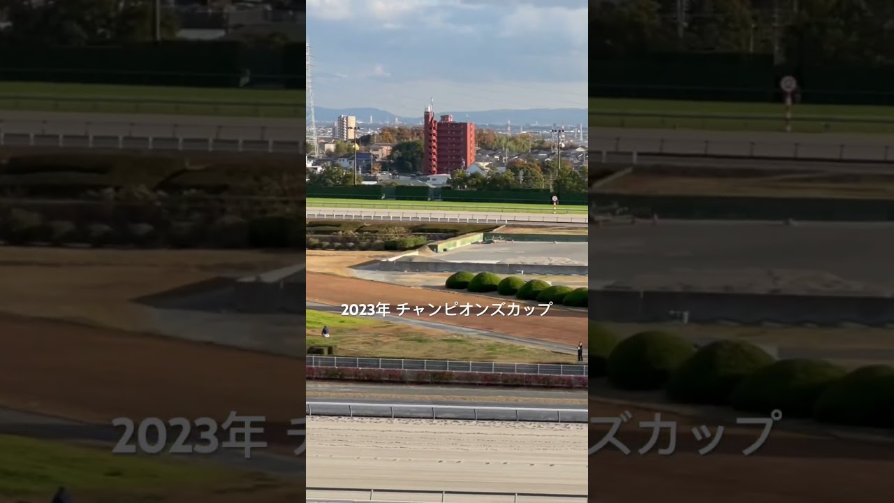 2023年 チャンピオンズカップ 馬主席から #チャンピオンズカップ #チャンピオンズカップ2023 #馬主席 #競馬