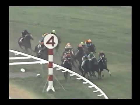 2000 シルクロードS ブロードアピール