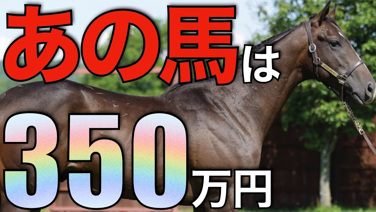 【適性抜群】日本導入で一気の3倍増！今熱いあの種牡馬は種付け料350万円に。