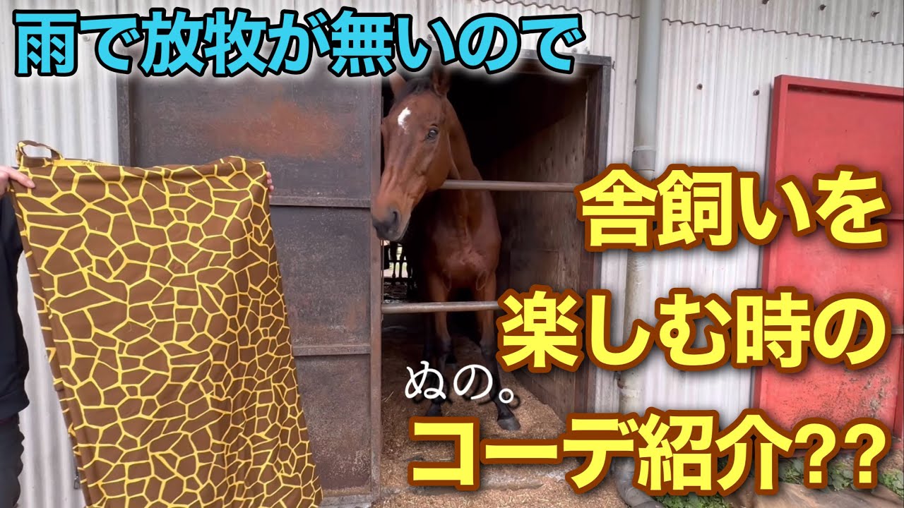 雨で放牧が無いので　舎飼い楽しむコーデ紹介??