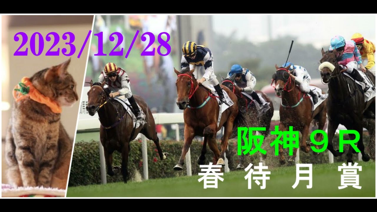 2023/12/28　阪神９レース　春待月賞　枠順確定