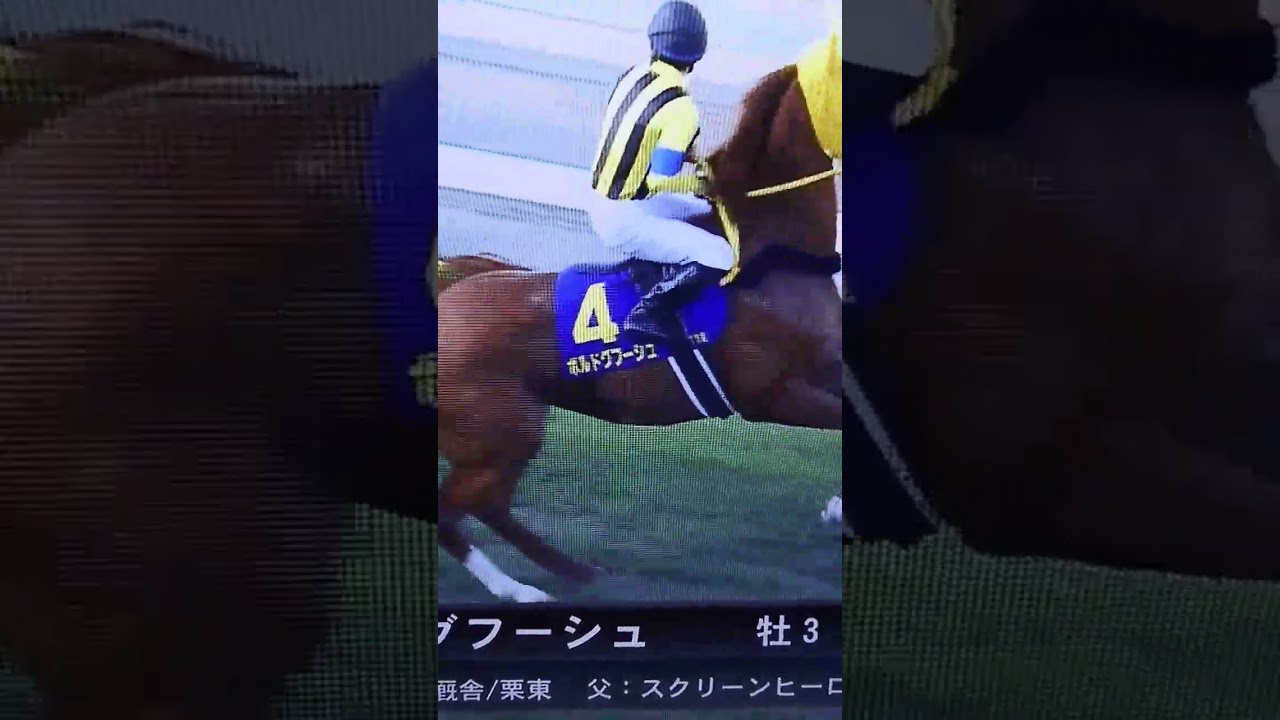 ボルドグフーシュ@菊花賞2022本馬場入場