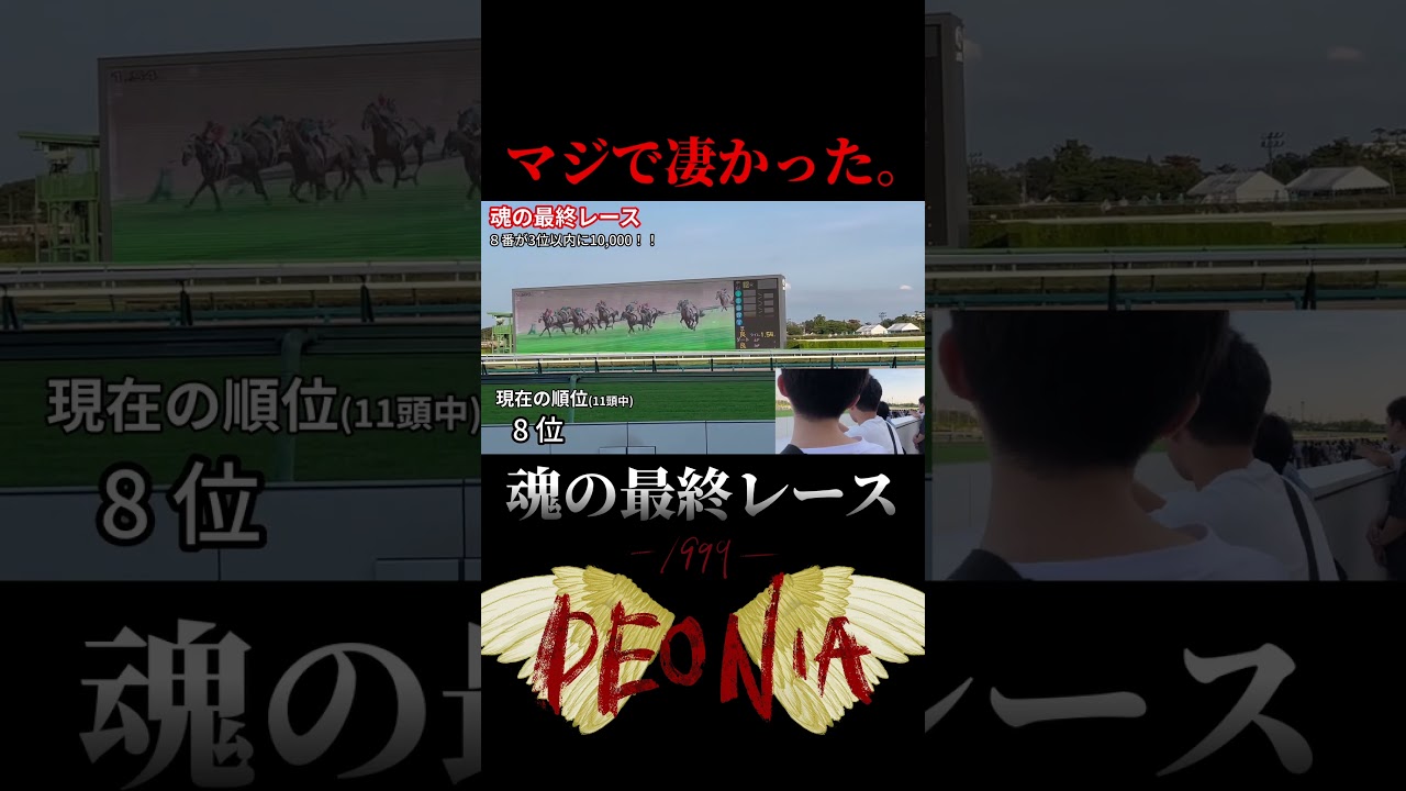 いけえええええええええぇぇぇええええ！！！！！！！ #shorts #競馬