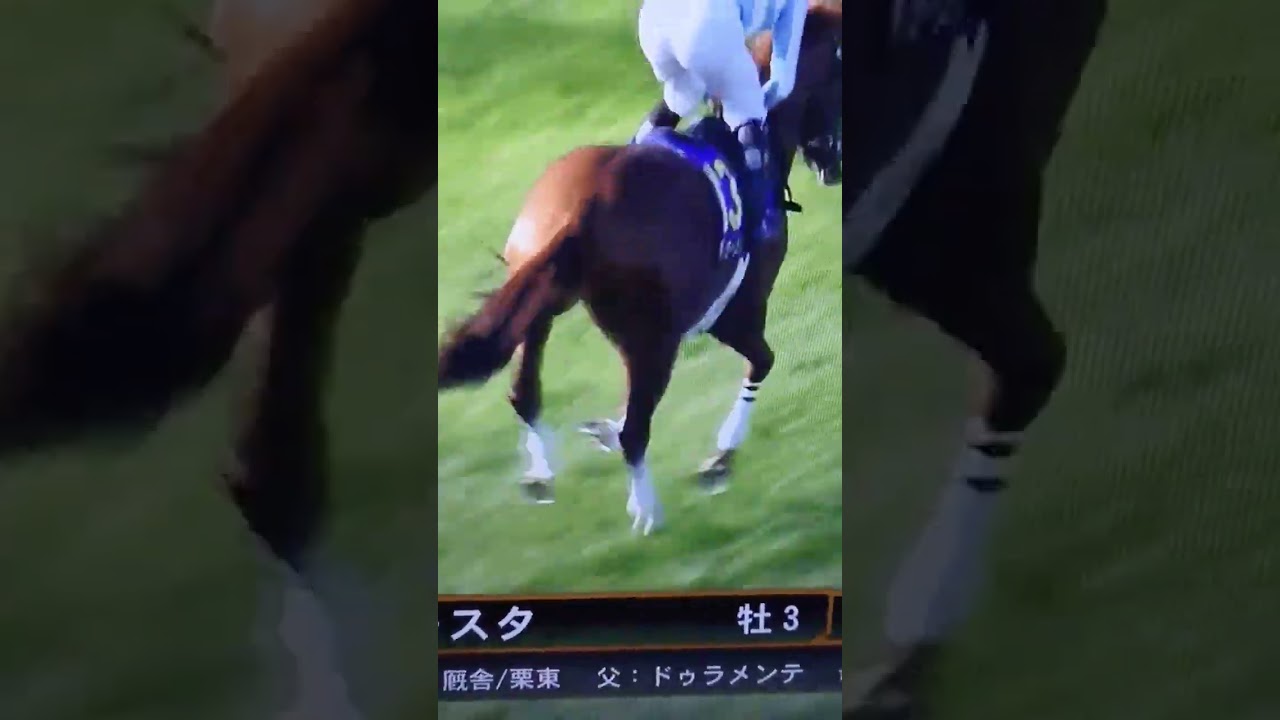 アスクビクターモア&ディナースタ@菊花賞2022