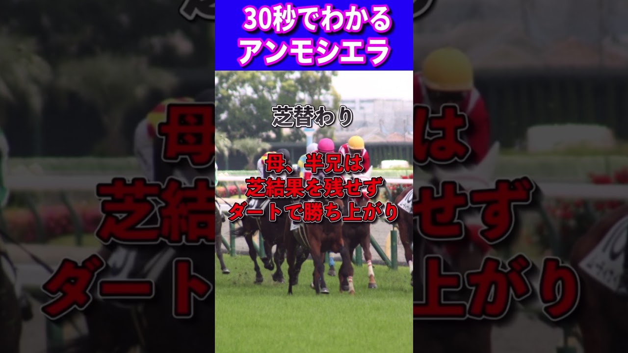 【ホープフルS2023】30秒でわかるアンモシエラ