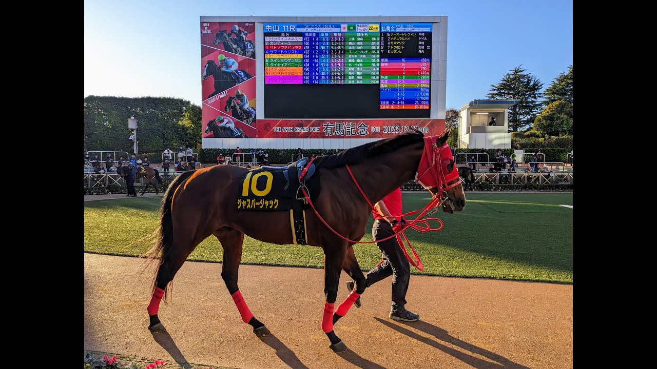 中山競馬場 チャンピオンズカップ