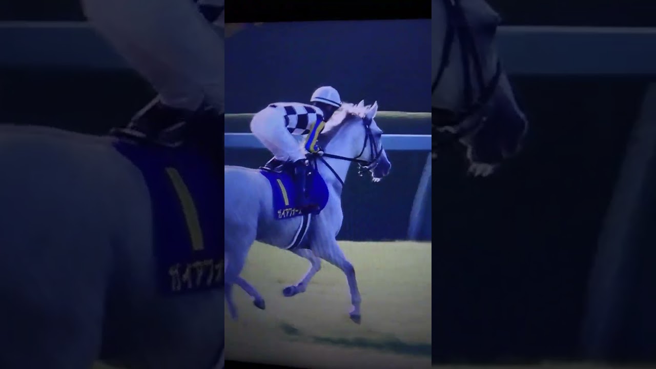 ガイアフォース@2022菊花賞の本馬場入場